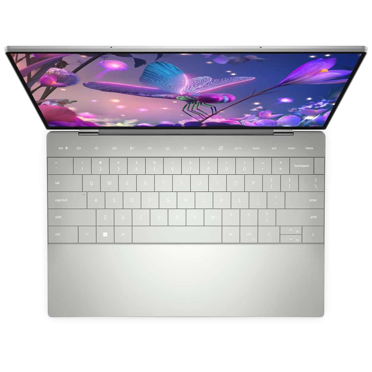Dell XPS 13 9320 12th gen i7-1260P, 16GB, 512GB SSD, 13.4 OLED Touch, Windows 11 - Image 1