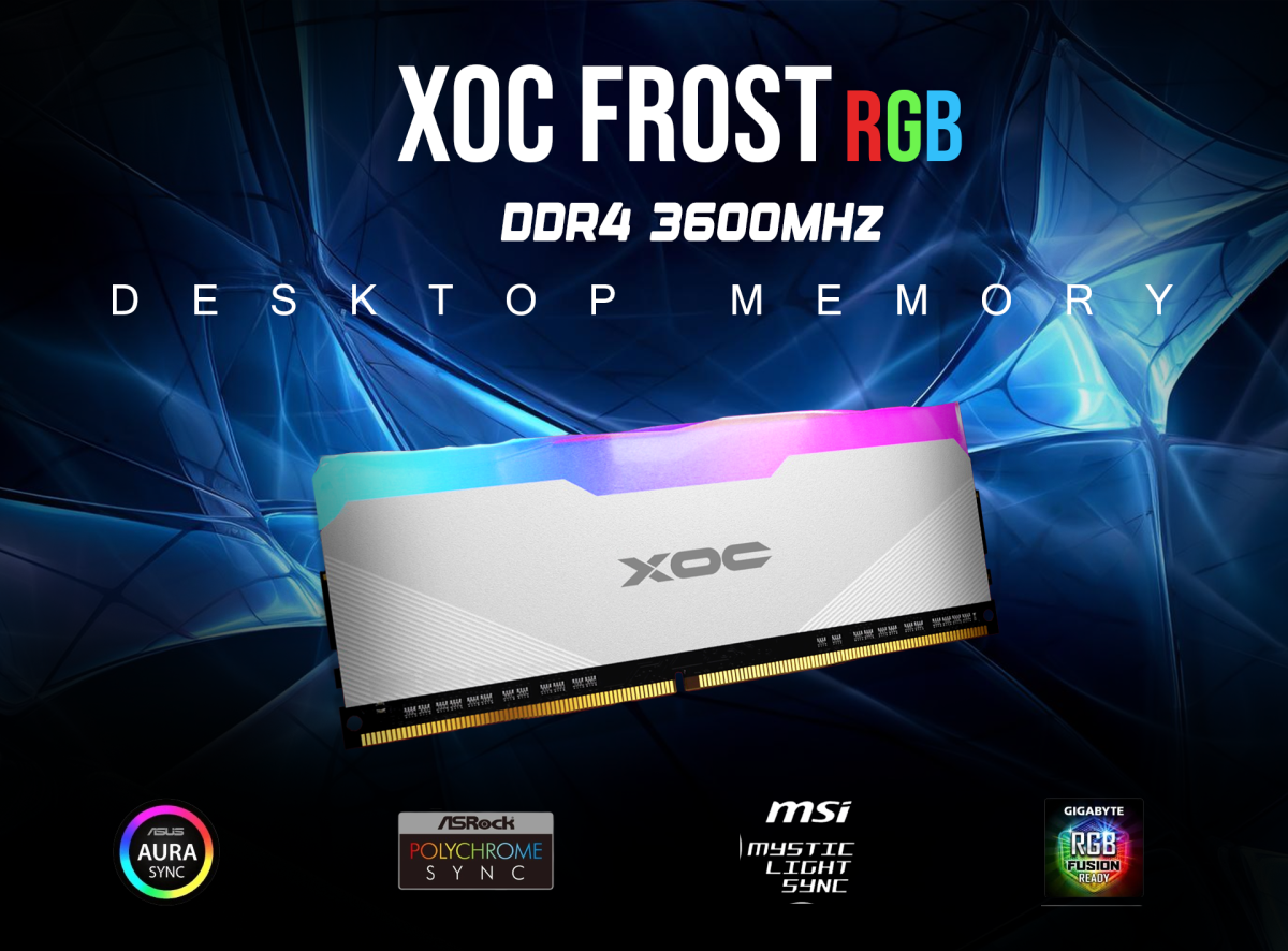 XOC Frost 16GB DDR4 3600Mhz ARGB - Desktop - Image 3