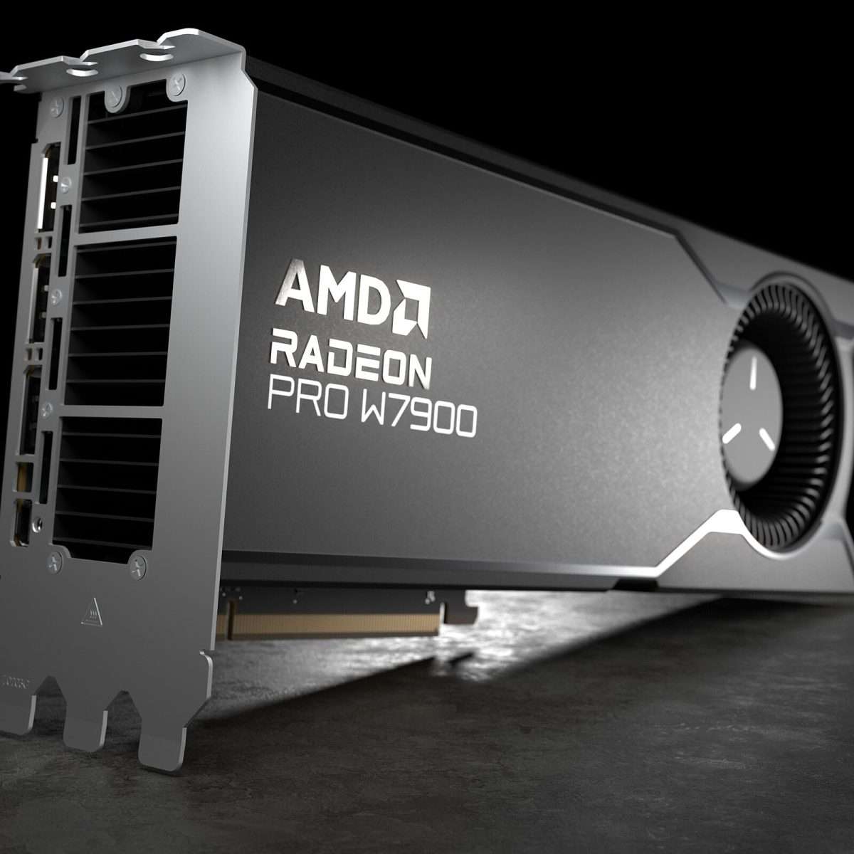 AMD Radeon Pro W7900 Nepal