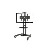 Interactive Mobile Cart