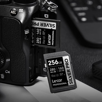 Lexar LSDSIPR256G-BNNNG Professional Silver Pro SD Card with 256GB storage for high-speed photography and video recording.