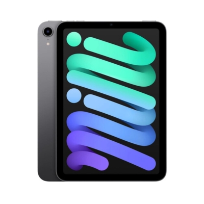 Apple iPad Mini 8.3-inch Wi-Fi model in Space Gray, featuring 256GB storage and 6th Generation design for compact, high-performance use.