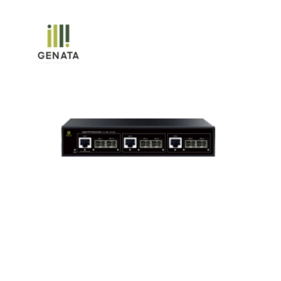 GNT (2 SFP+ 1 Gigabit Ethernet) Group Switch